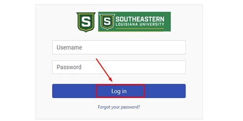 (Login with your W number and email password) Select this link to go to Southeastern's web-based system. . Moodle selu